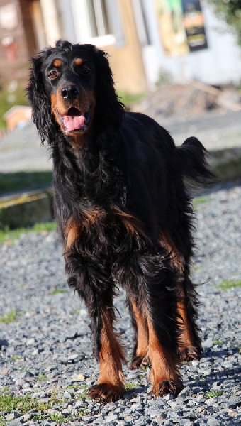 Fiesta Du chant des vignes